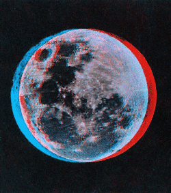 Moon Flight? ✈️ 🌖